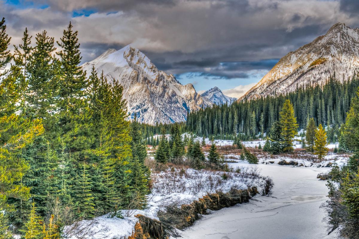 Earlier snowmelt hinders forests' ability to regulate carbon dioxide