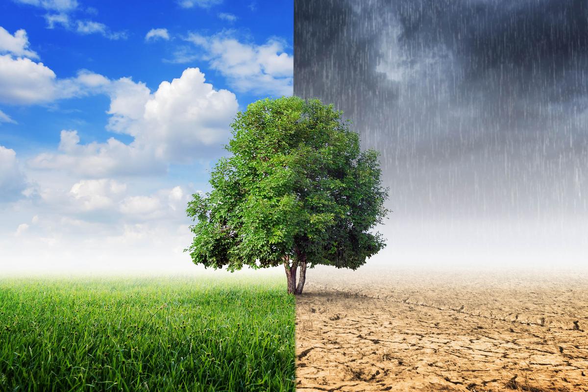 Global climate models don't work on a regional level