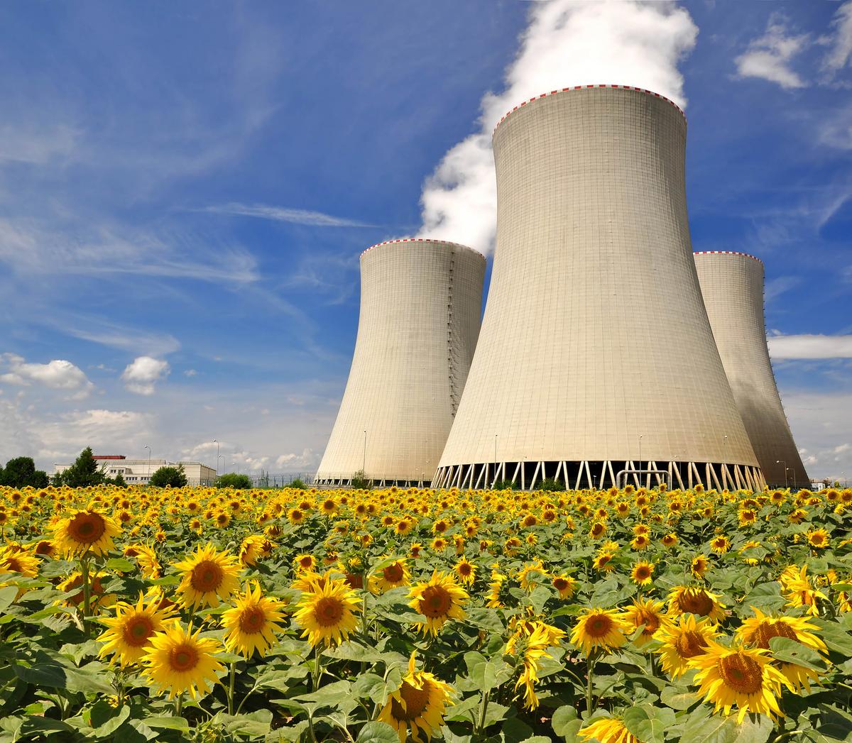 Pro-nuclear countries making slower progress on climate change targets