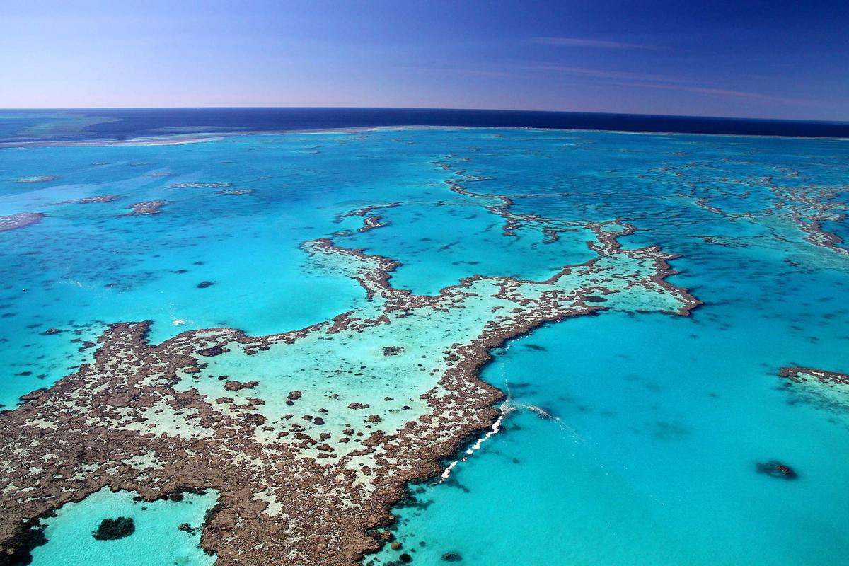 Some coral reefs may benefit from rising sea levels