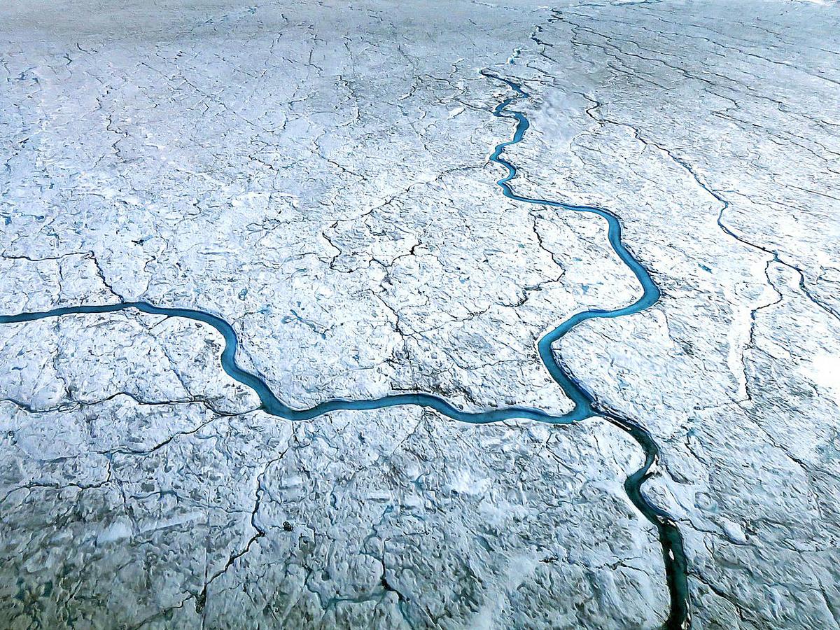 Algae blooms are accelerating the Greenland ice sheet melt