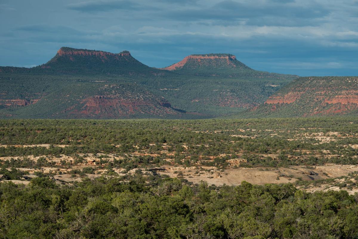 Obama puts final touches on his environmental legacy