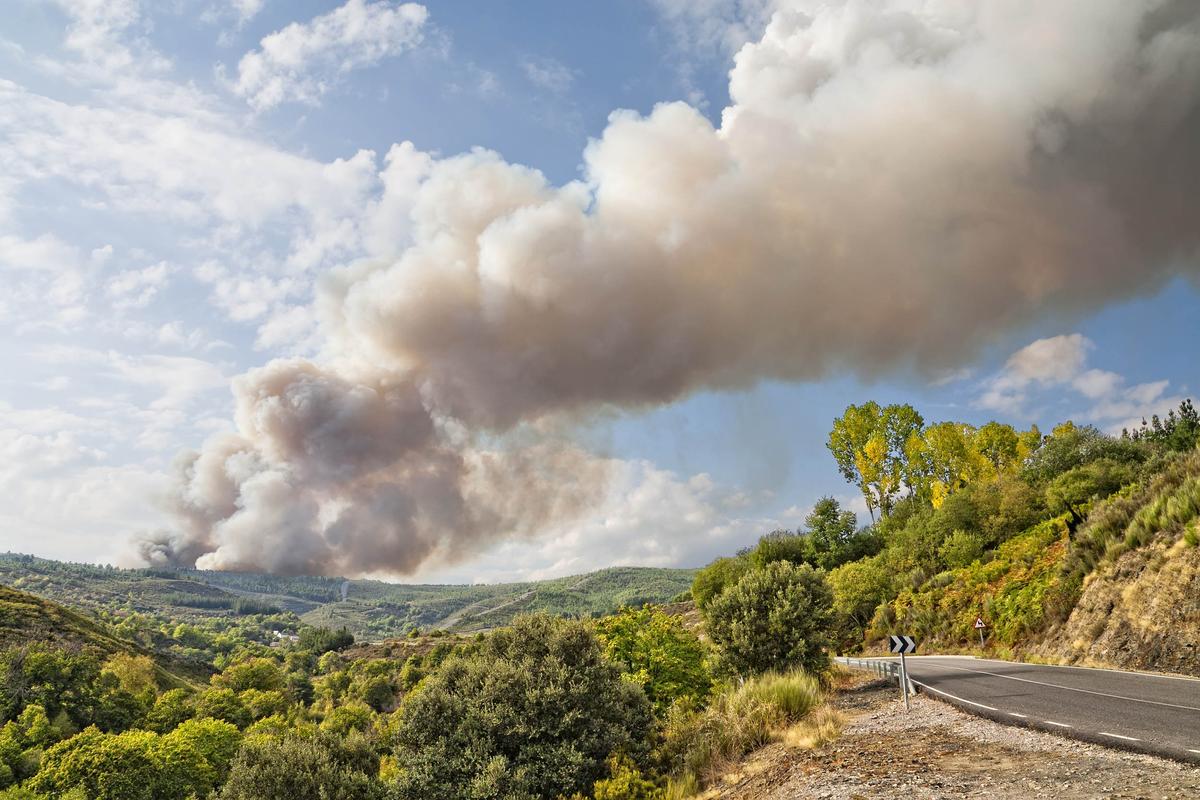 Surge in wildfires from climate change will increase air pollution