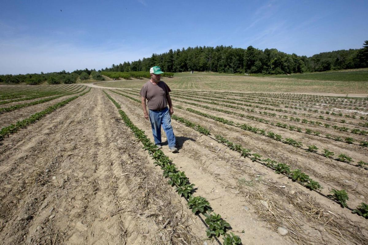 Drought hits the Northeastern US