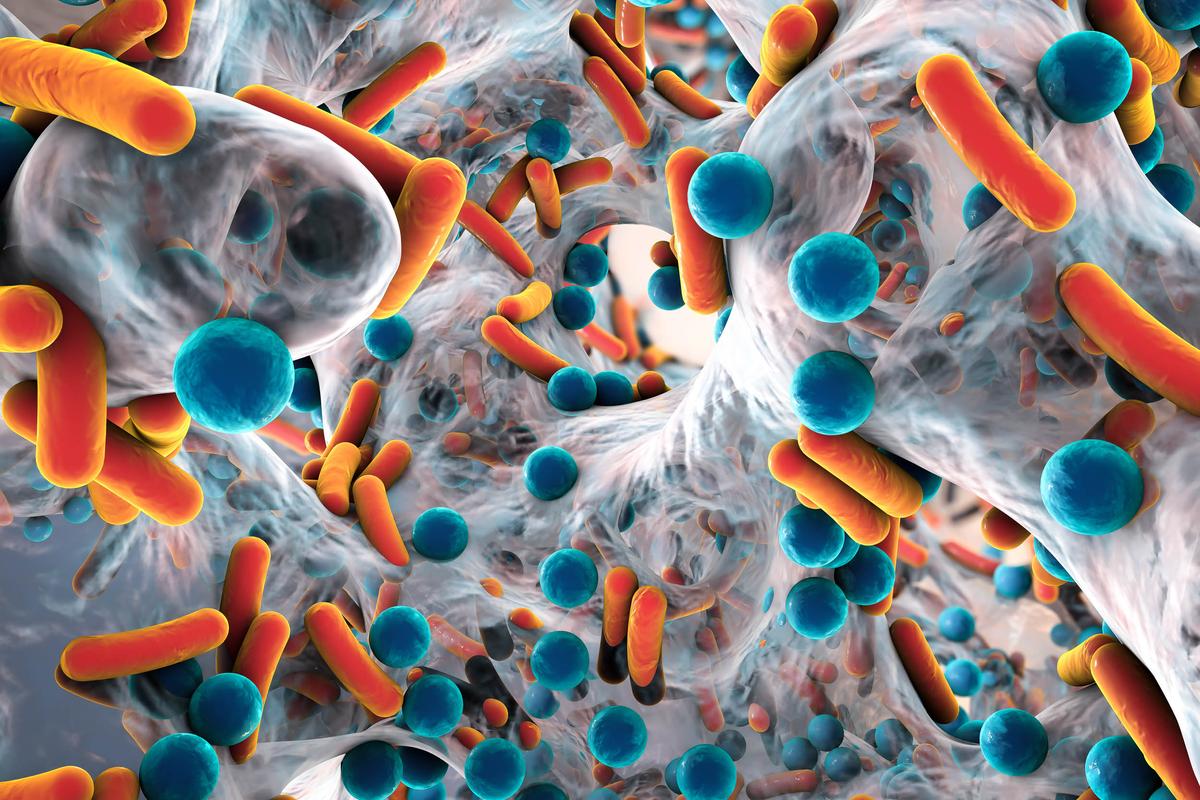 Trillions of microbes are riding the subways
