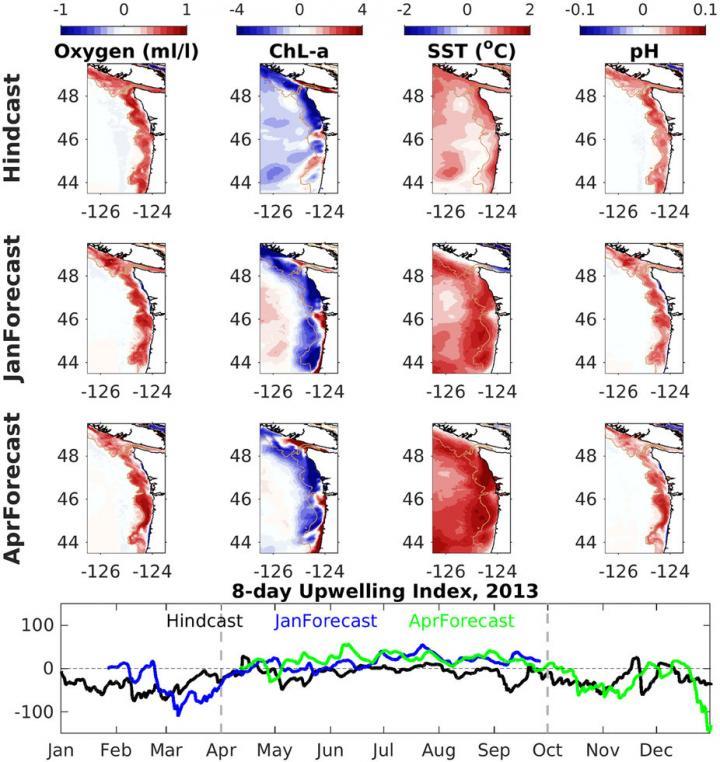 Ocean forecasts for Pacific Northwest waters