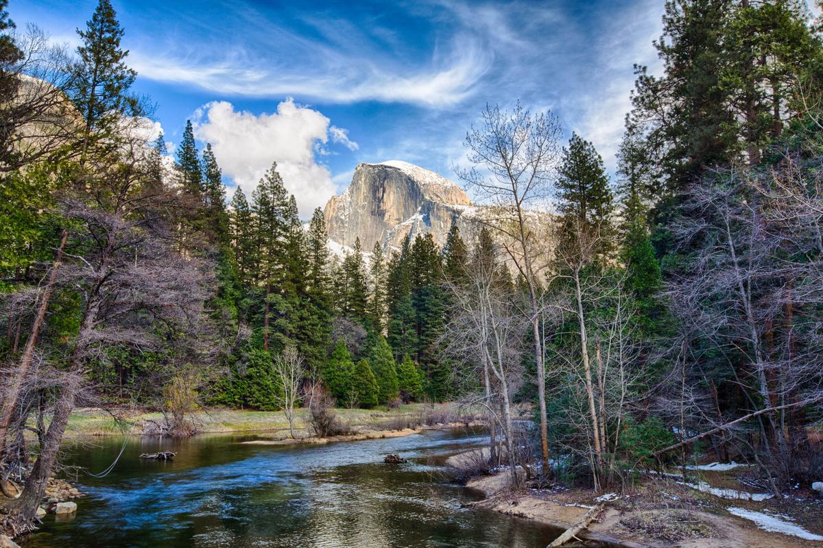 Feds: Drought killed 66 million trees in the Sierra Nevada forests