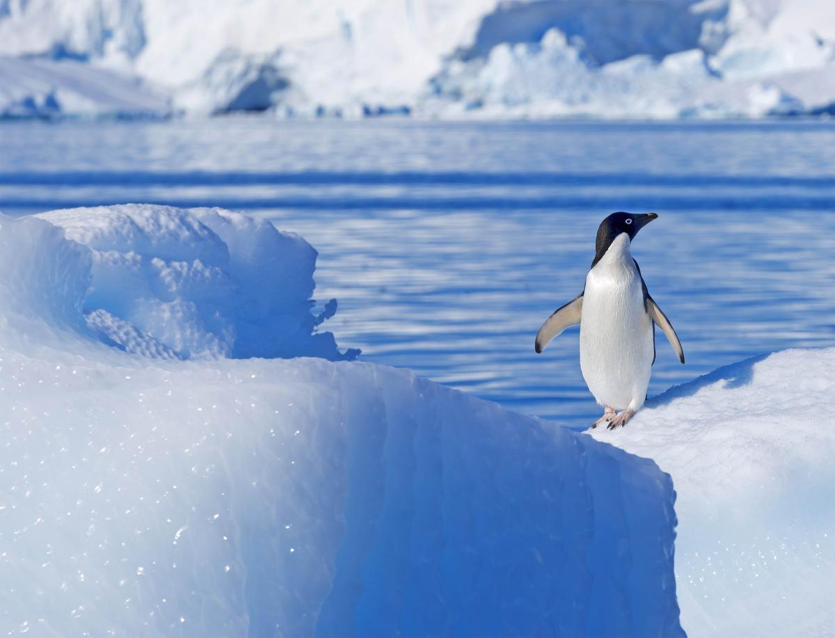 South Pole passes global warming milestone