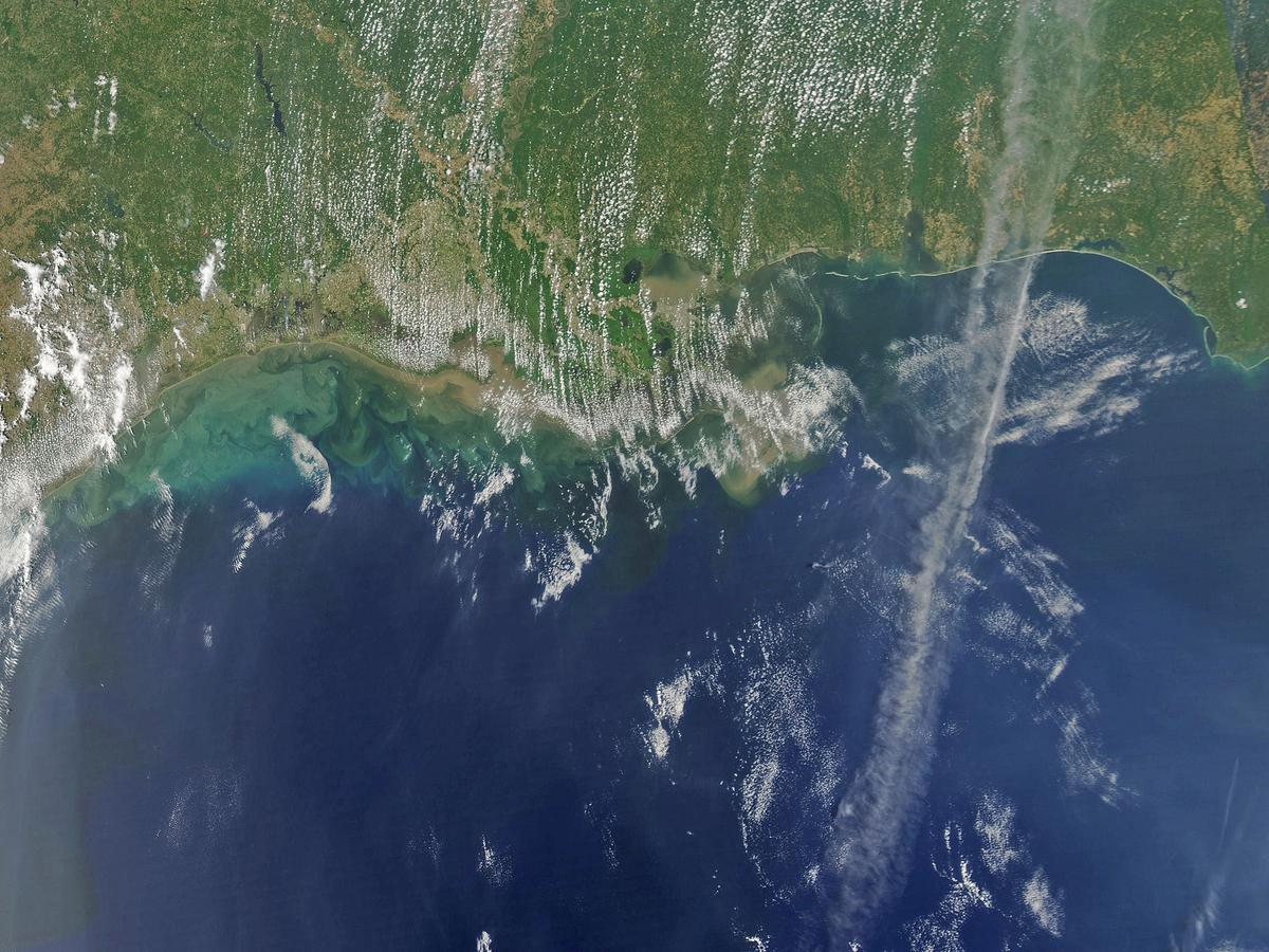 Average 'dead zone' predicted for Gulf of Mexico