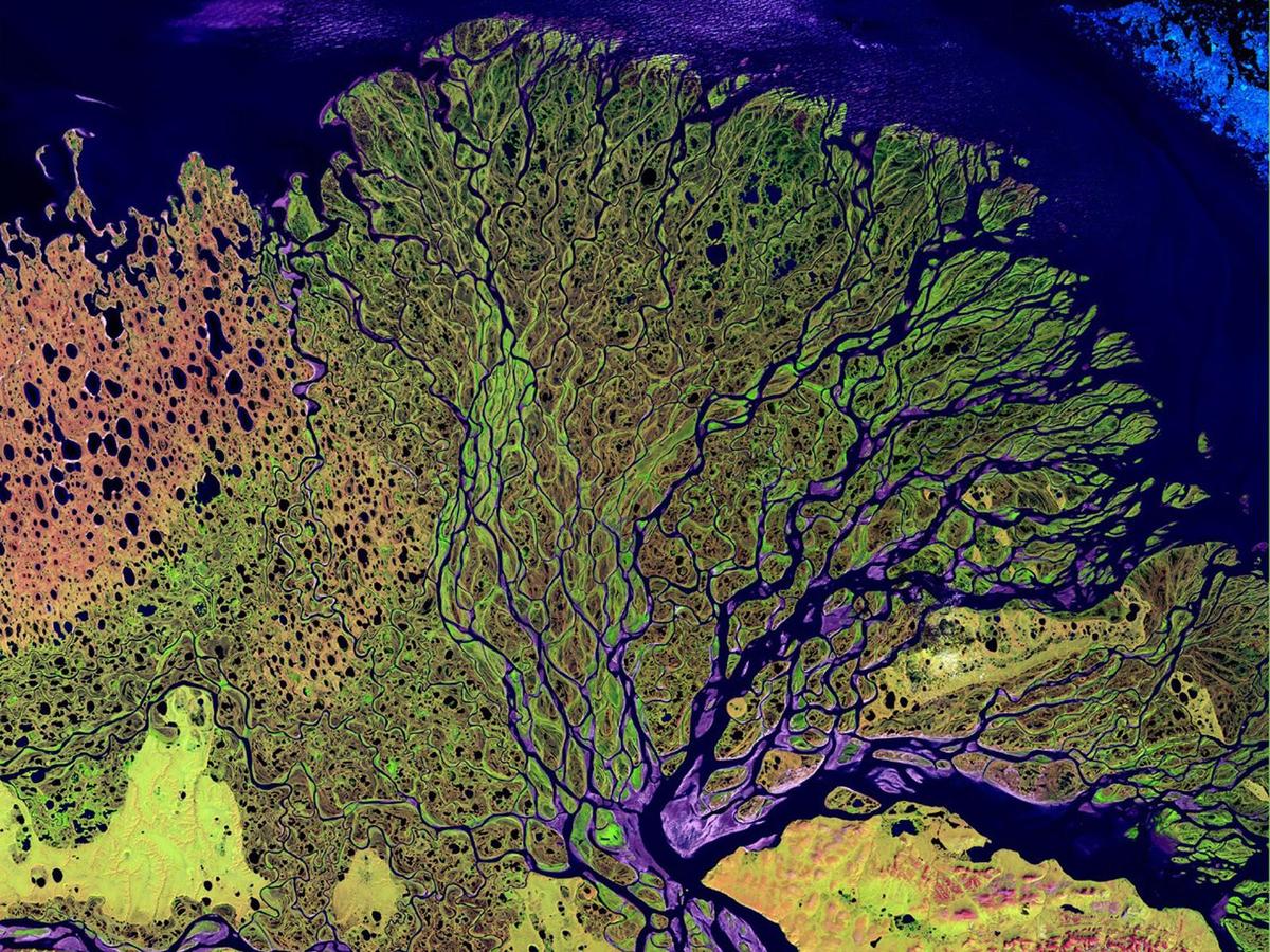 World Oceans Day: Deltas critical to ocean health