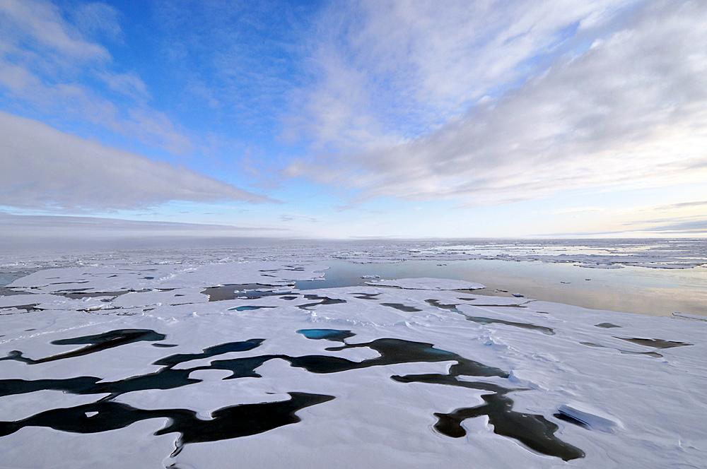 Environmental groups push for a stronger Polar Code