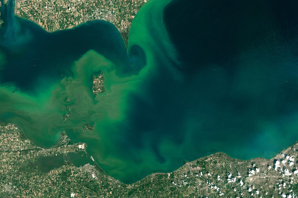 Ohio has new plan to slow down toxic algae on Lake Erie