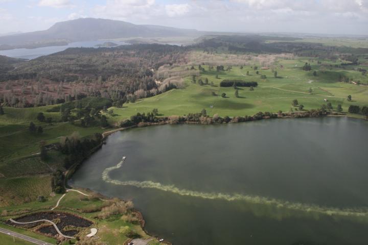 Cleaning up decades of phosphorus pollution in lakes
