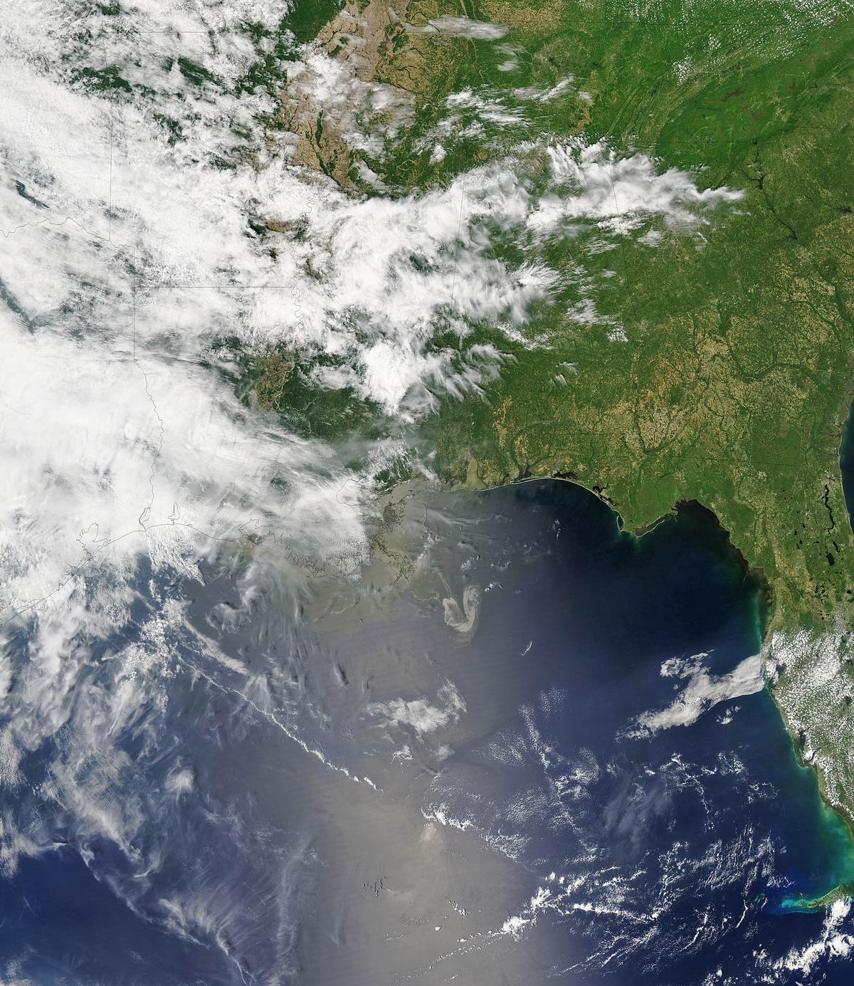 Restoring the deep Gulf of Mexico from BP oil spill damage