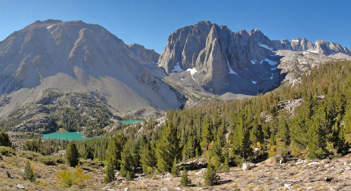 Decades of foothill forest growth erased due to severe drought