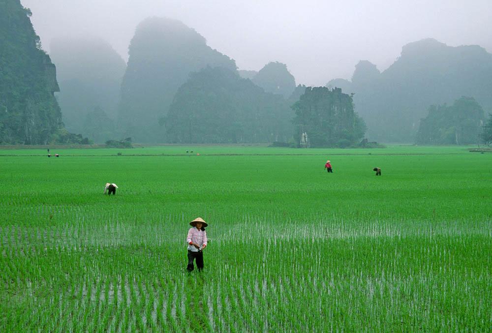 Obama urges Vietnam youth to tackle climate change