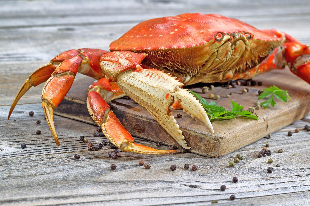 Ocean acidification puts NW Dungeness crab at risk