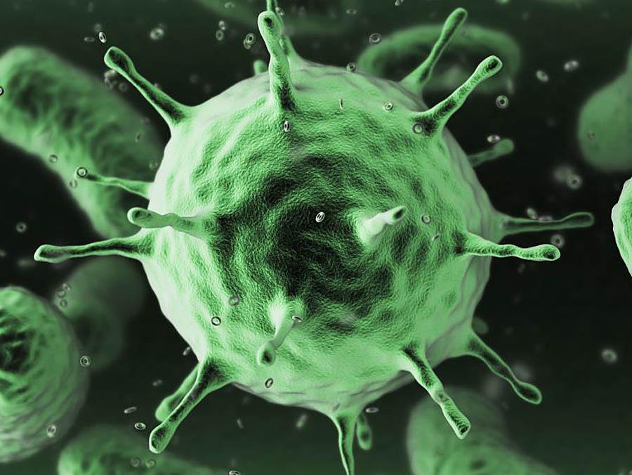 Pelagibacterales: Tiny organisms have huge climate impact