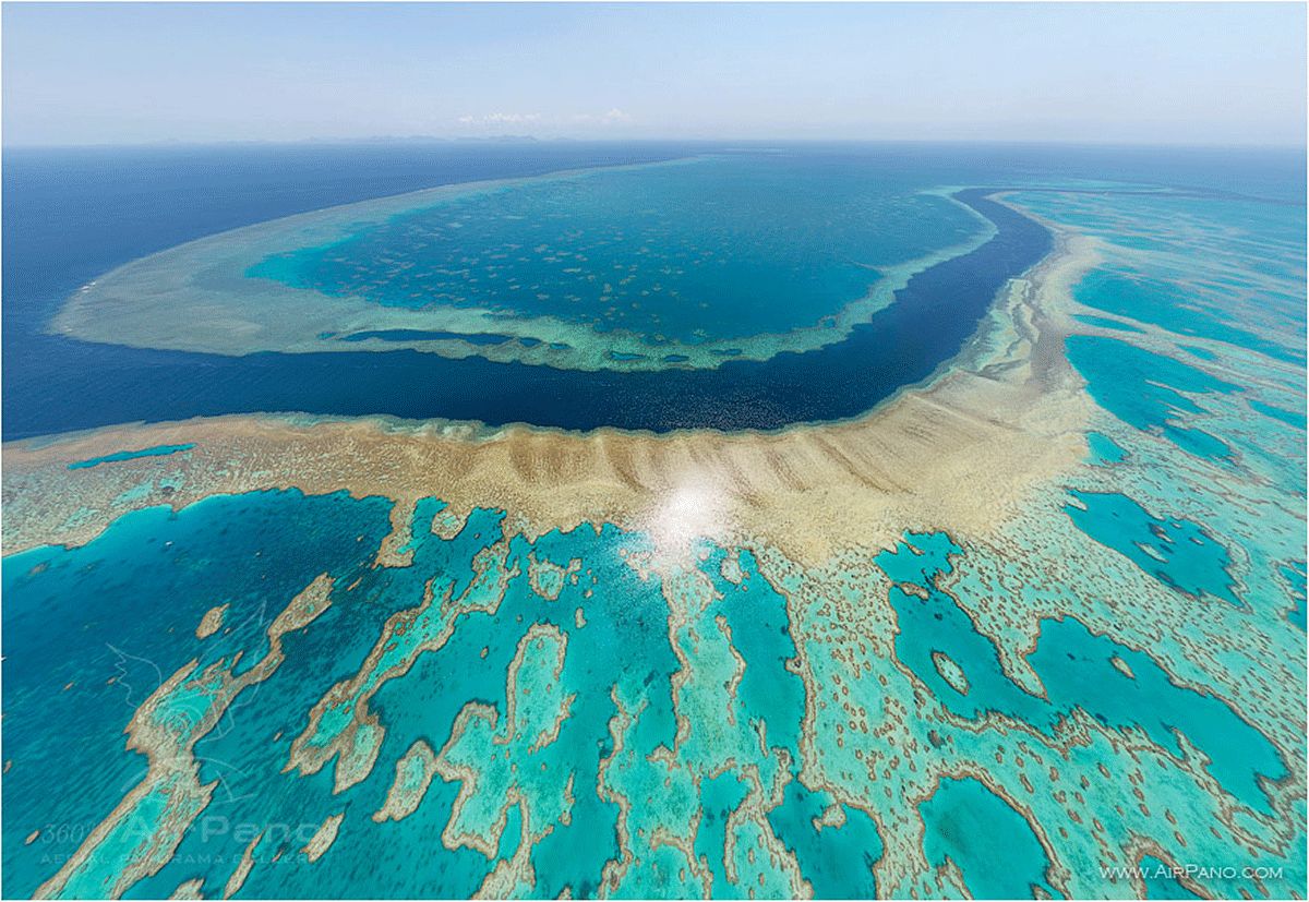 Coal shipping poses great threat to Great Barrier Reef