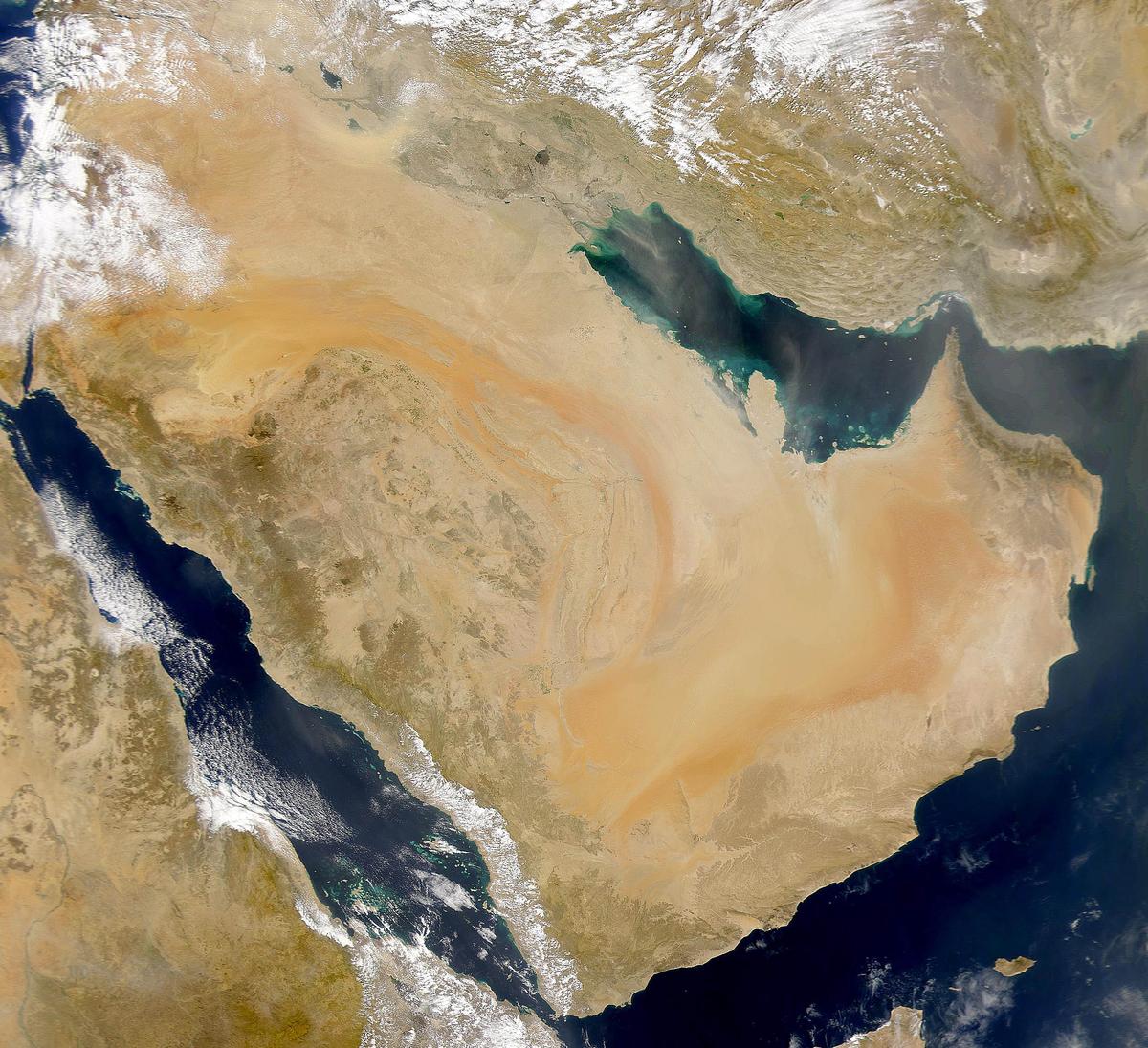 Saudi Arabia Makes Climate Action Pledge