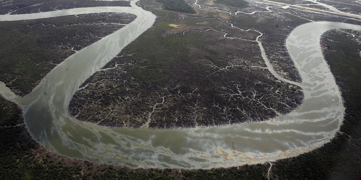 20 Years After Activist Hangs, Oil Pollution Still Wrecks Nigeria