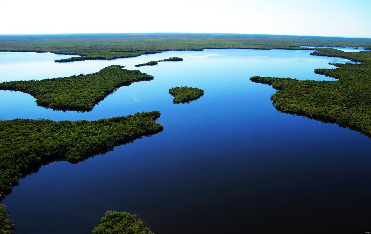 New Strategy For Restoring Coastal Wetlands