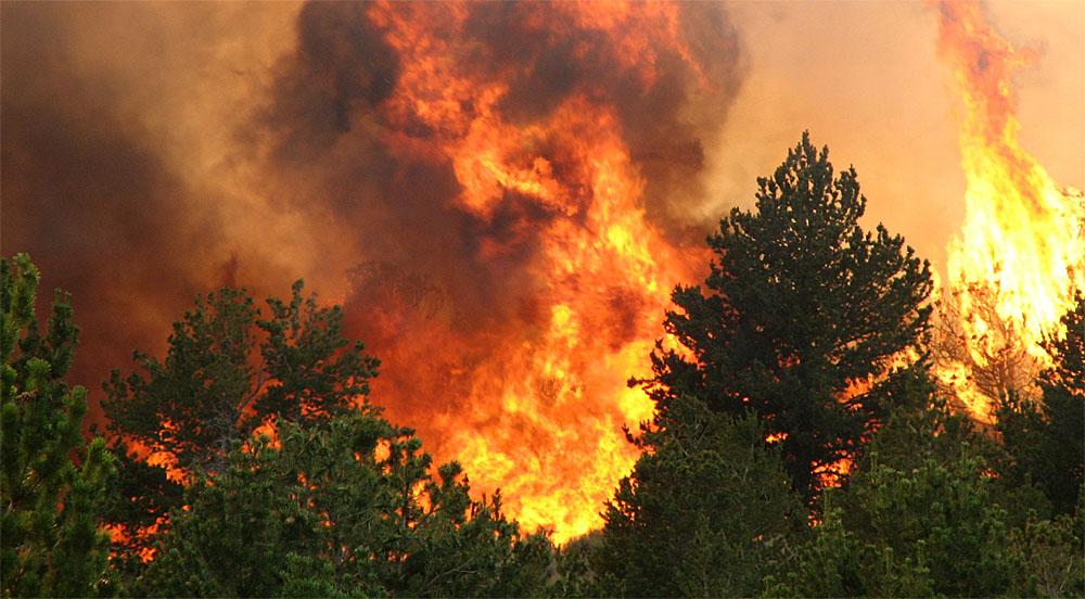 Texas Is Also Suffering From Increased Threatening Wildfires