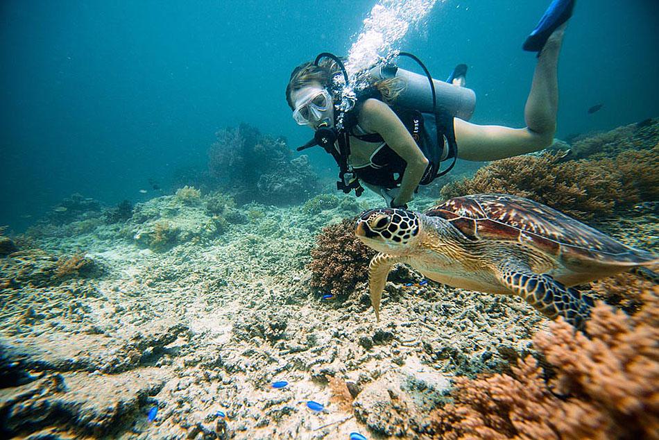 Ecotourism Can Harm Wild Animals