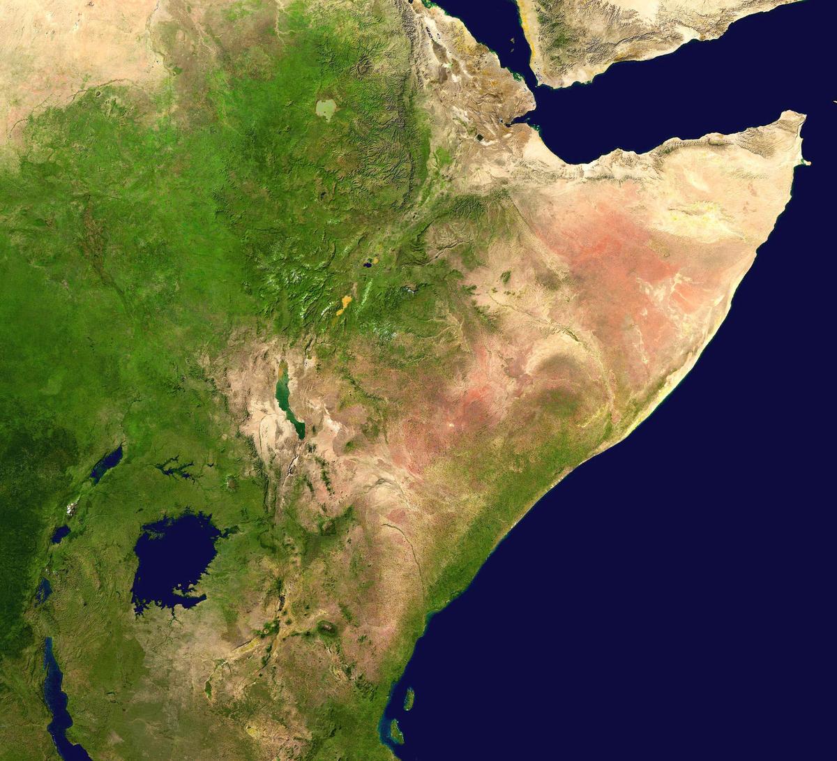 Horn Of Africa Is Drying Much Faster As Climate Warms