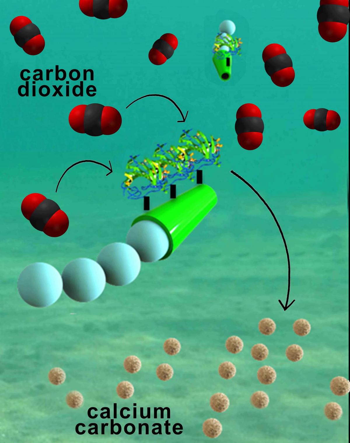 Tiny Carbon-Capturing Micromotors May Help Clean The Atmosphere