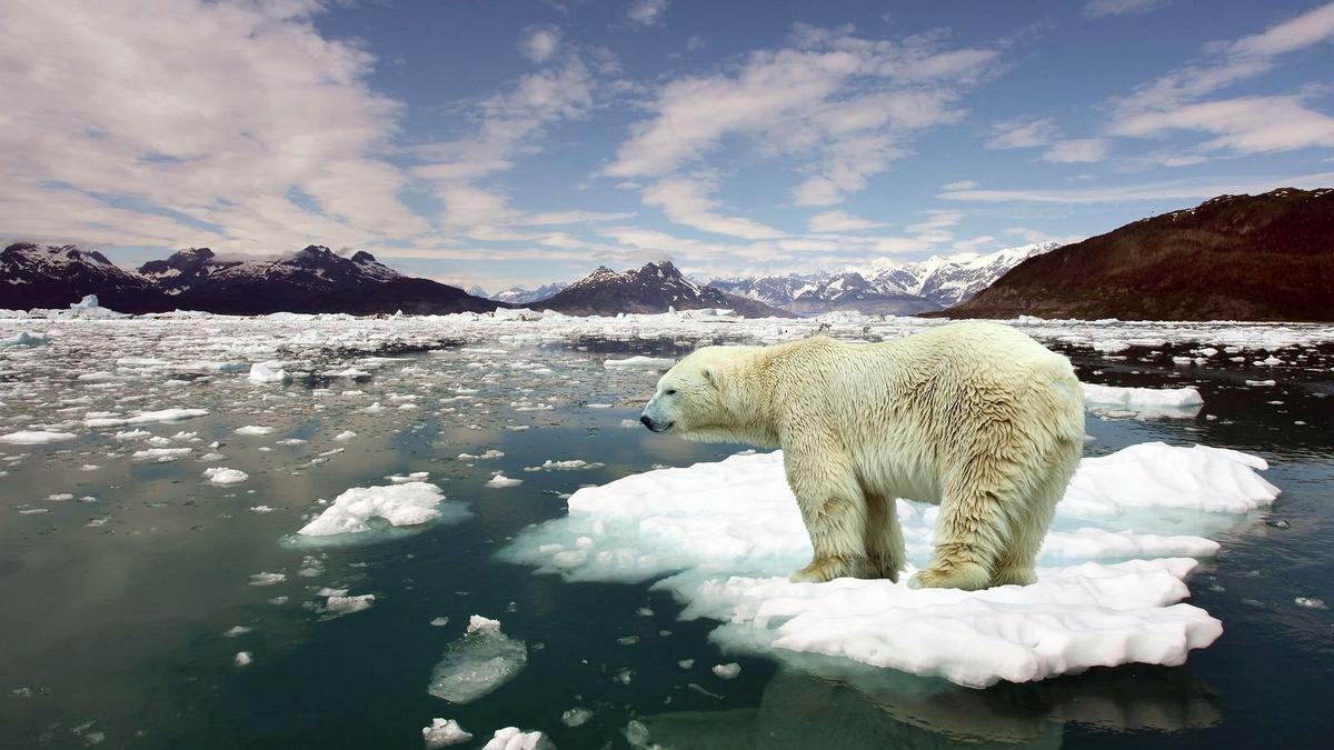 Scientists: Warming Arctic Will Cost Trillions Of Dollars