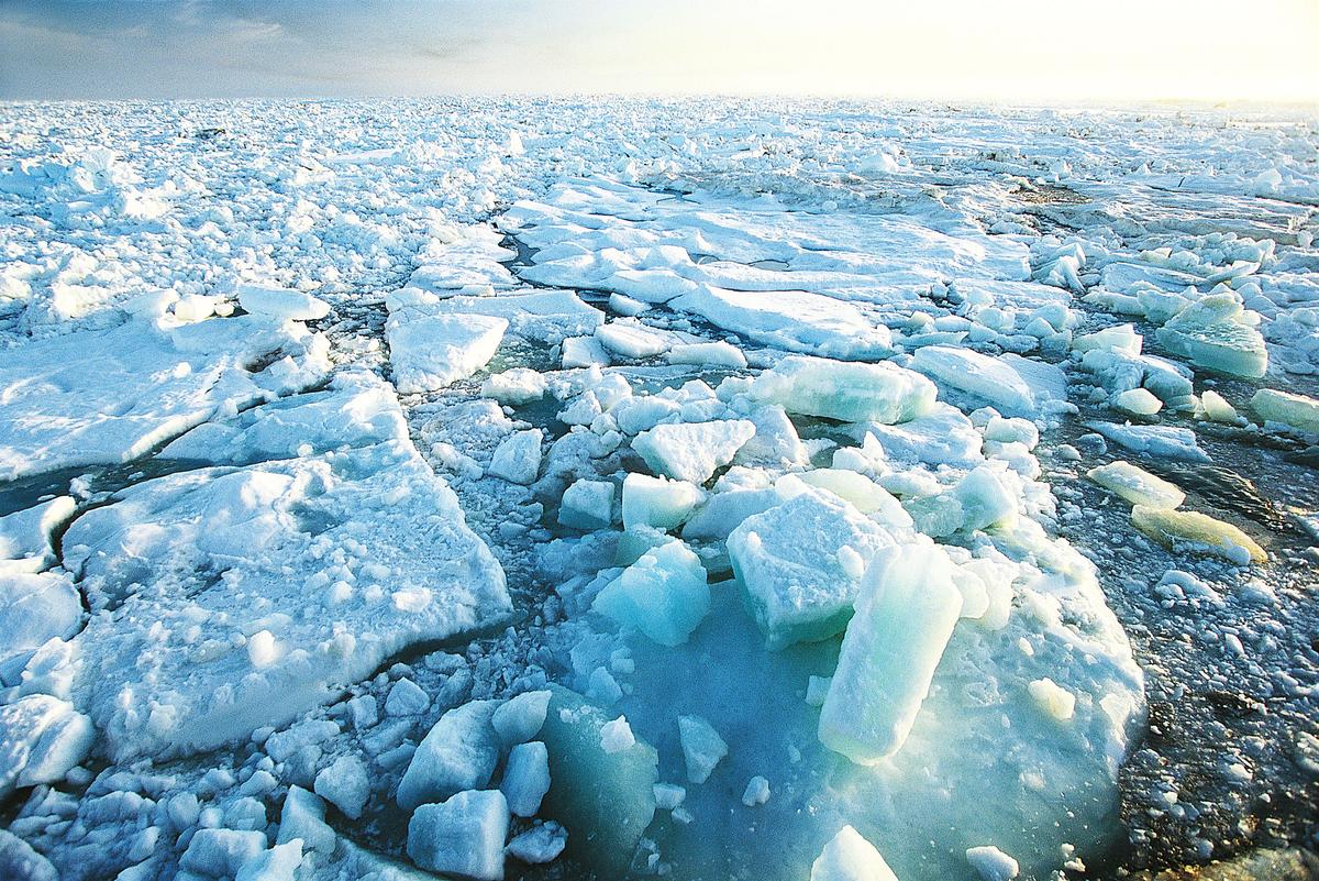 Arctic Sea Ice Has Increased Since 2013