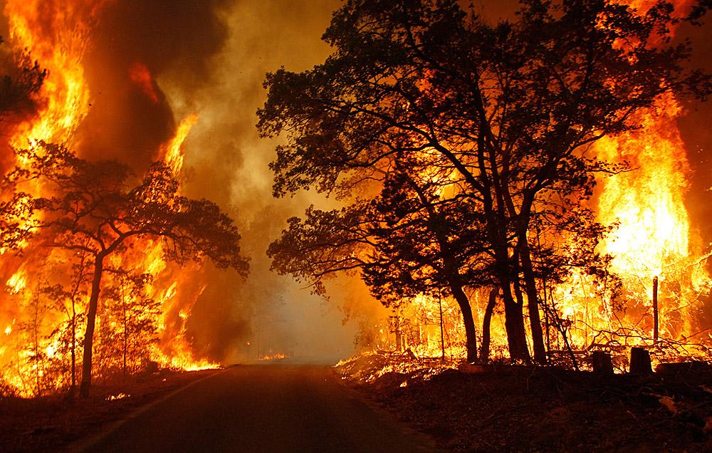 Ranchers Losing Cattle And Land As Wildfires Continue Raging