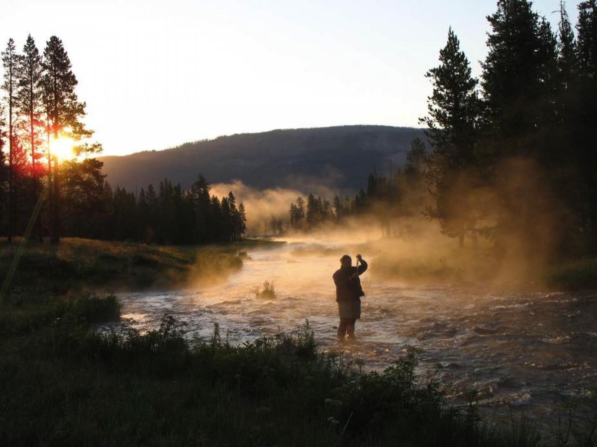 Scientists Learn How Greenhouse Gases Enter Streams And Rivers