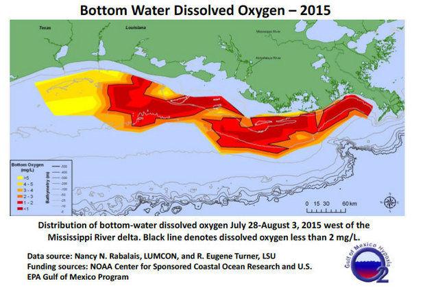 2015 Gulf Dead Zone Bigger Than Normal