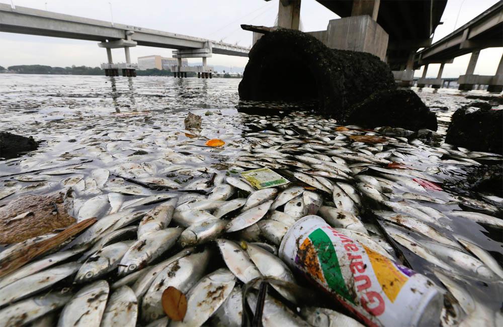 Filthy Rio Waters Threatens 2016 Olympics