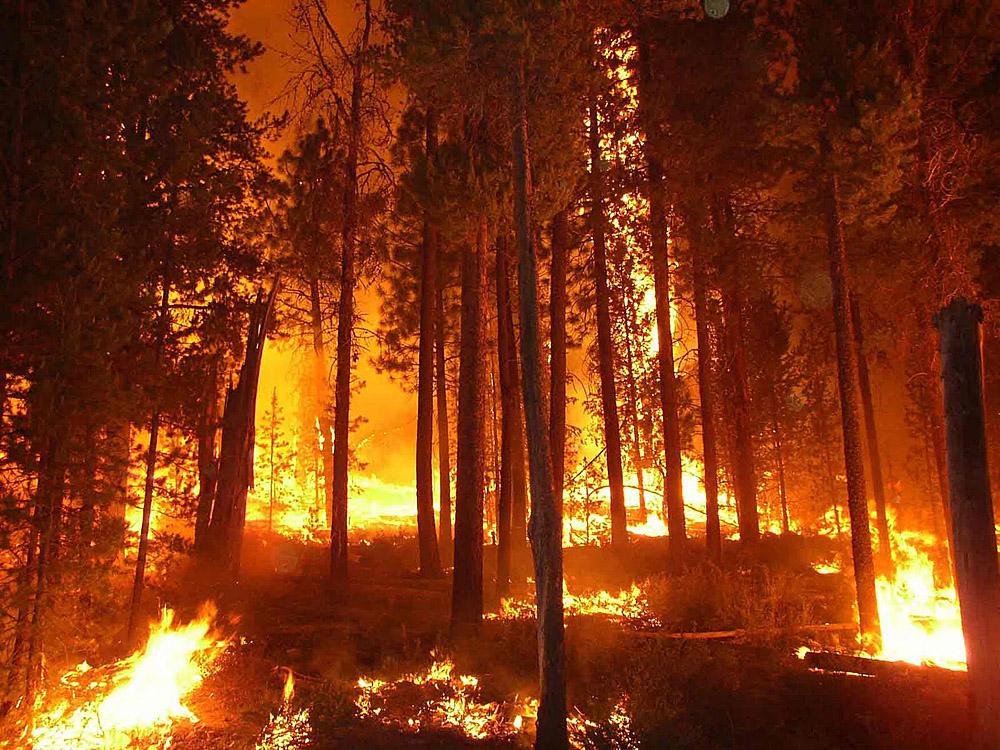 Republicans Want To Tap Into Wildfire Disaster Reserves