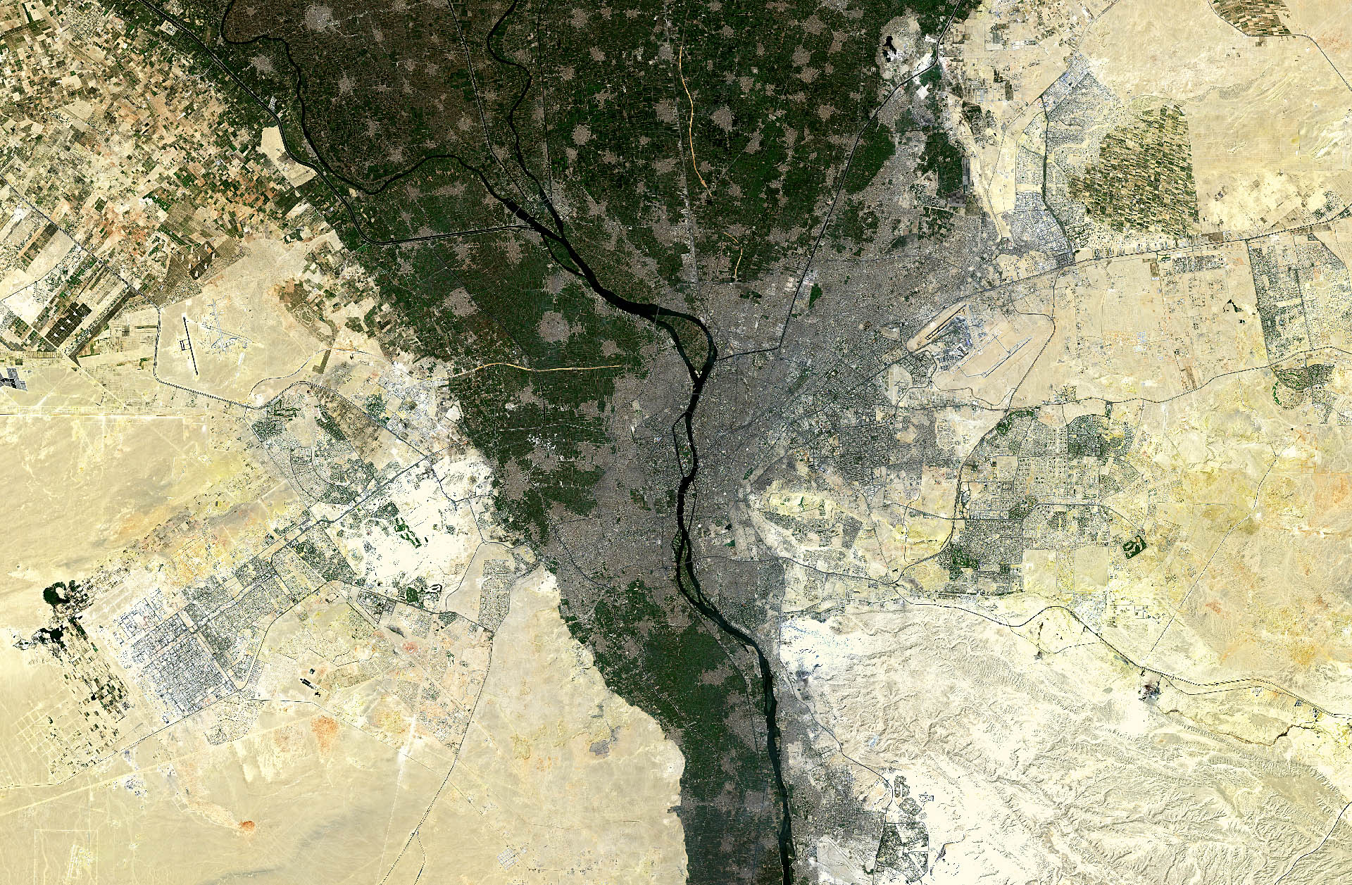 Nile Delta Fertility