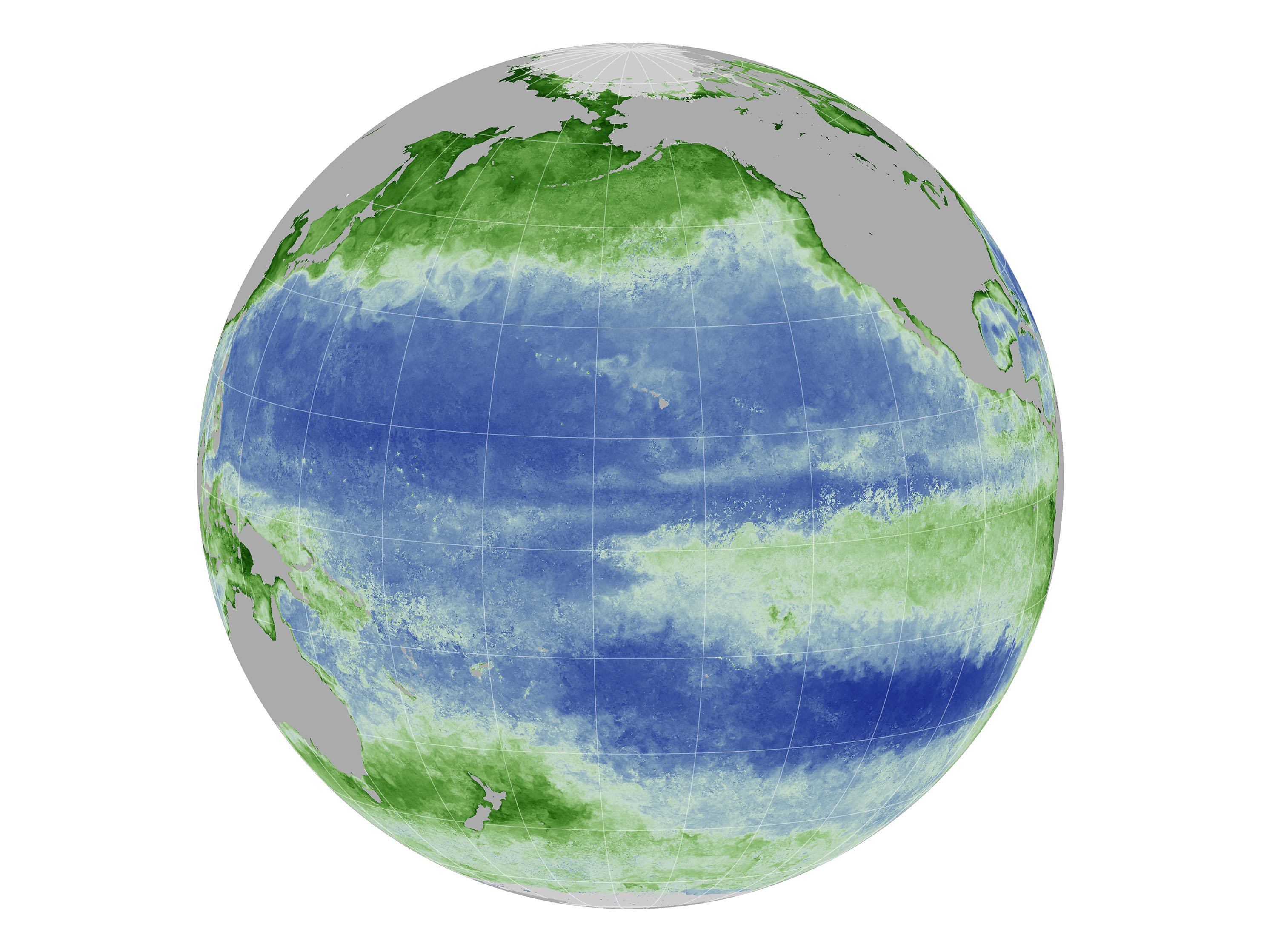 El Niño Disrupts The Marine Food Web