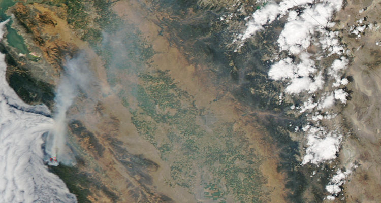 The Soberanes fire in California has burned 51,000 acres