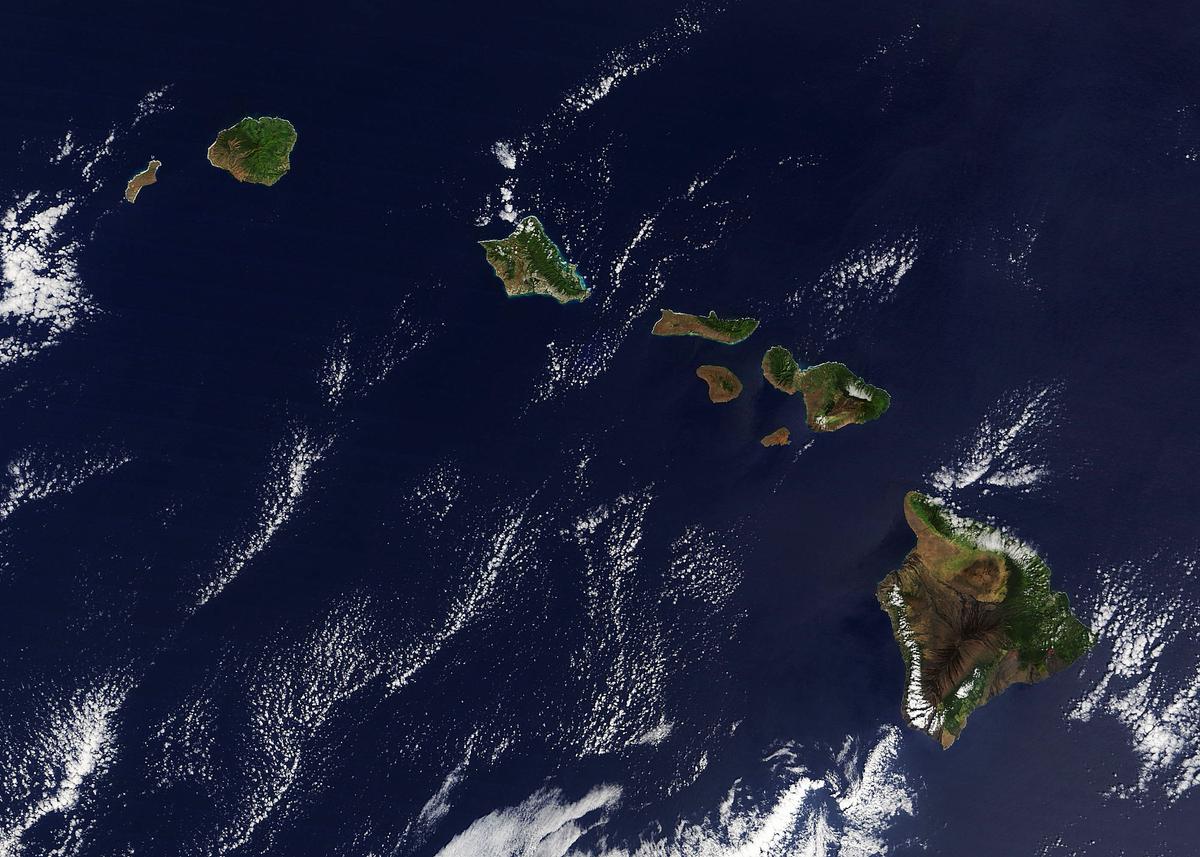 Researchers find thriving deep sea ecosystem near Hawaii