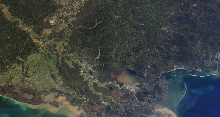 Mississippi River Delta, Louisiana