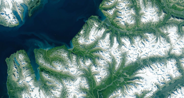 Growing Season In The Remote Norwegian Archipelago Of Svalbard