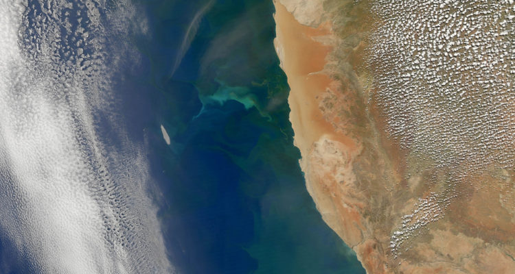 Benguela Current