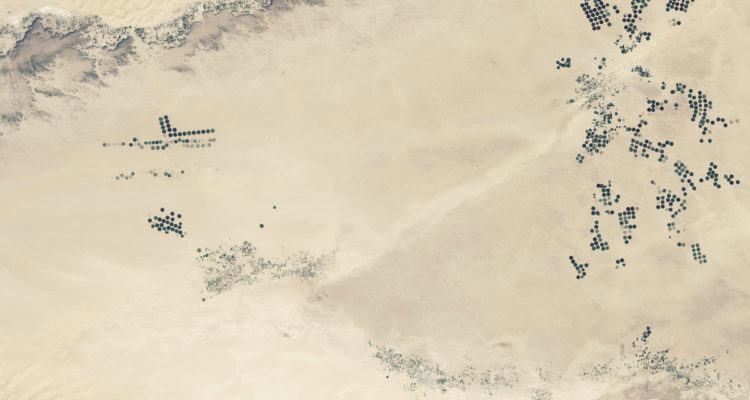 Seismic Surveying Grid in Libya