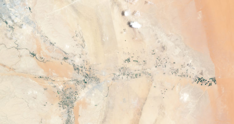 Todhia Arable Farm in Saudi Arabia