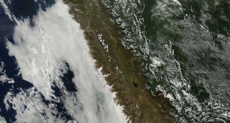 The Humboldt Current