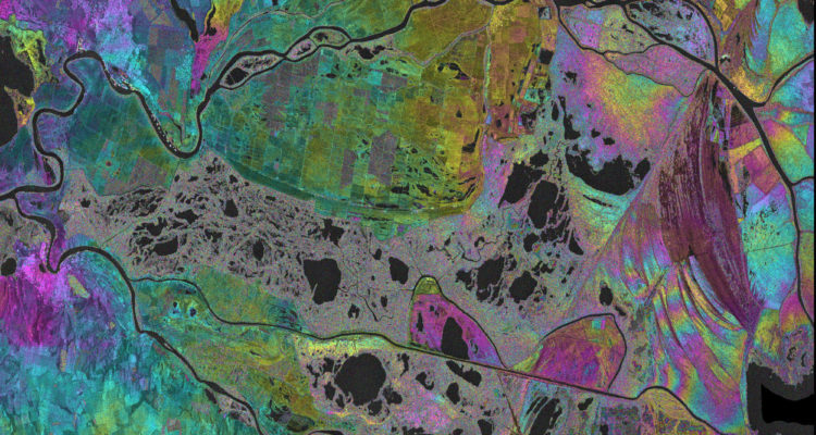 Danube Delta In Romania