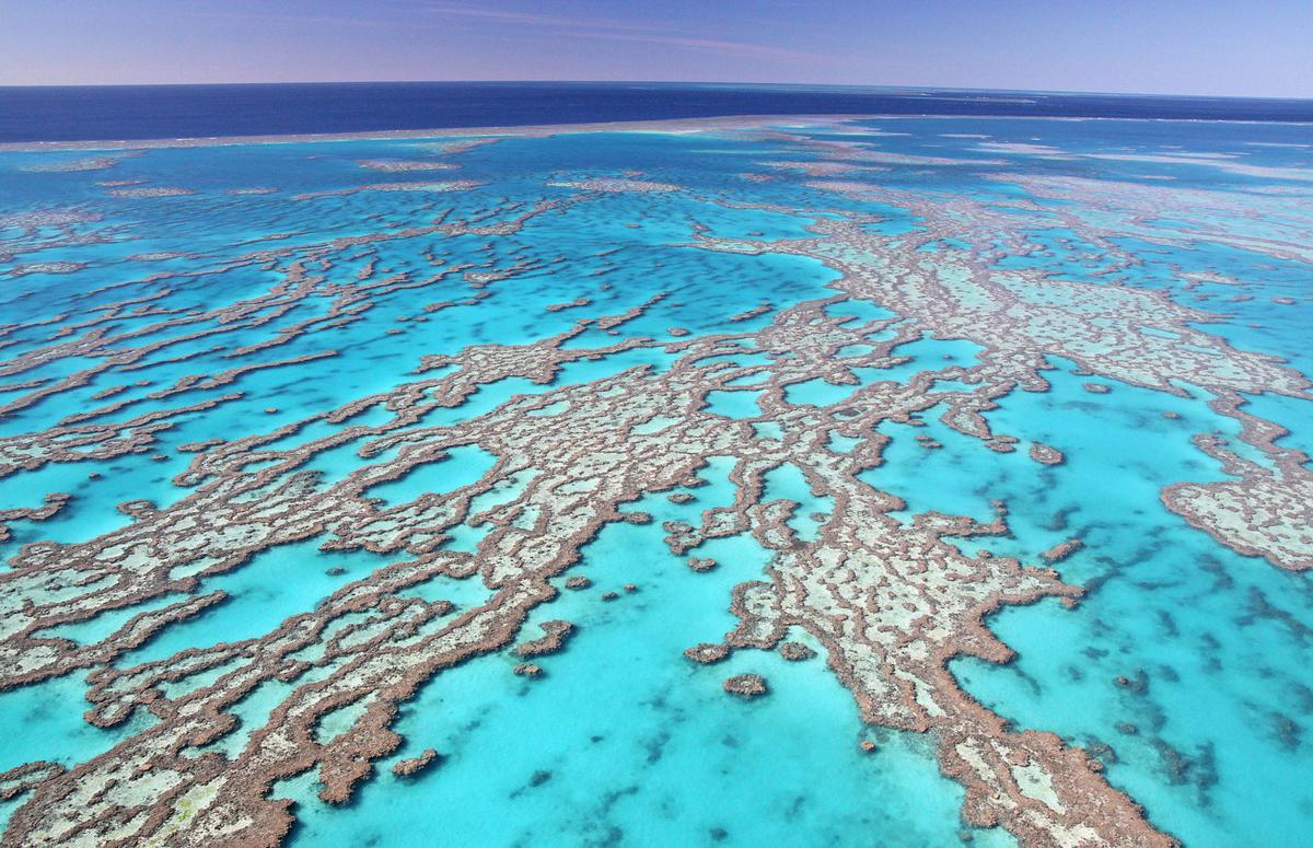 NASA's CORAL mission begins study of the Great Barrier Reef