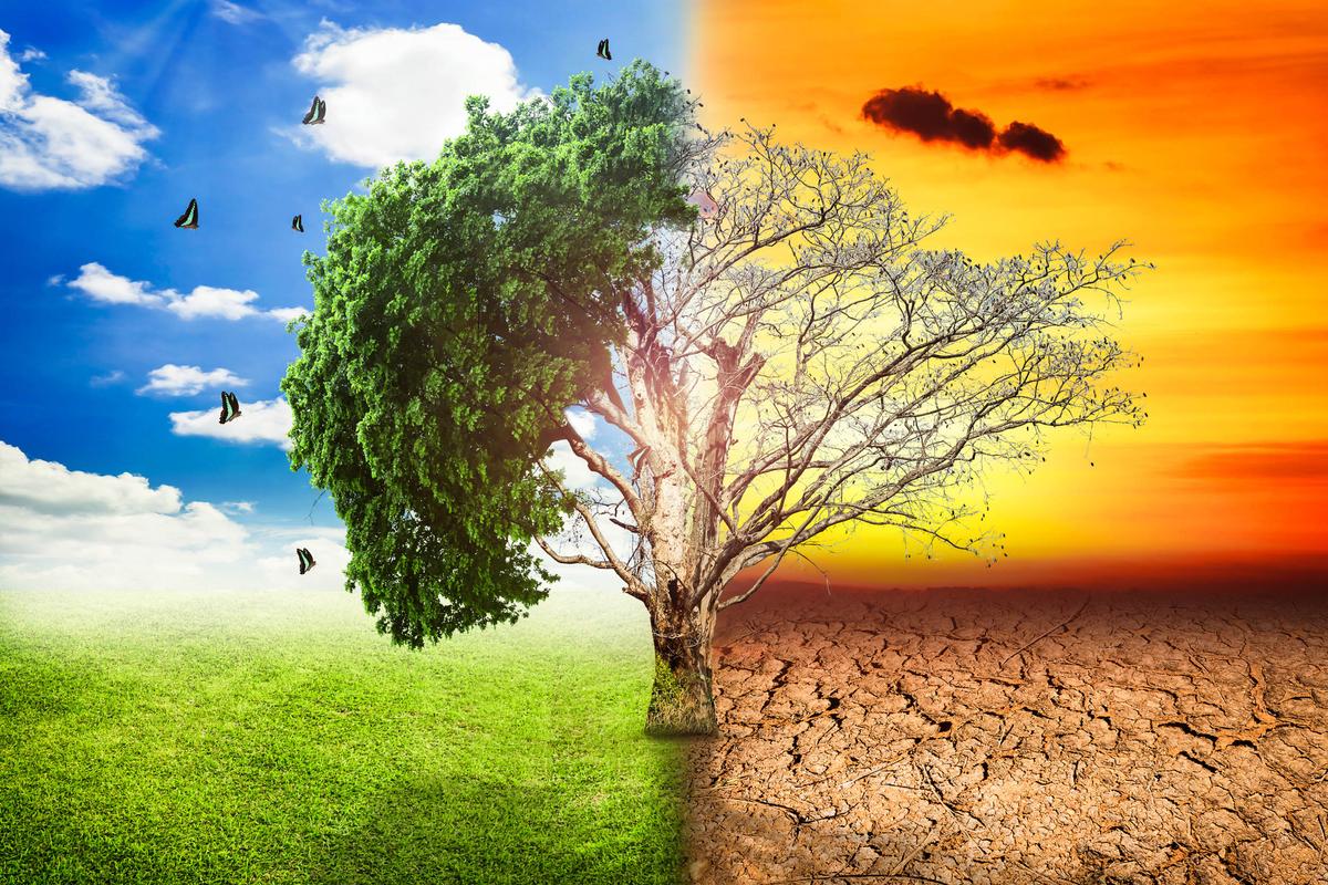 Scientists: Virtual certainty of a megadrought in the American Southwest